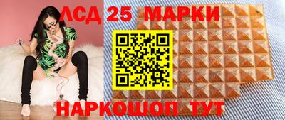 спайс Кандалакша