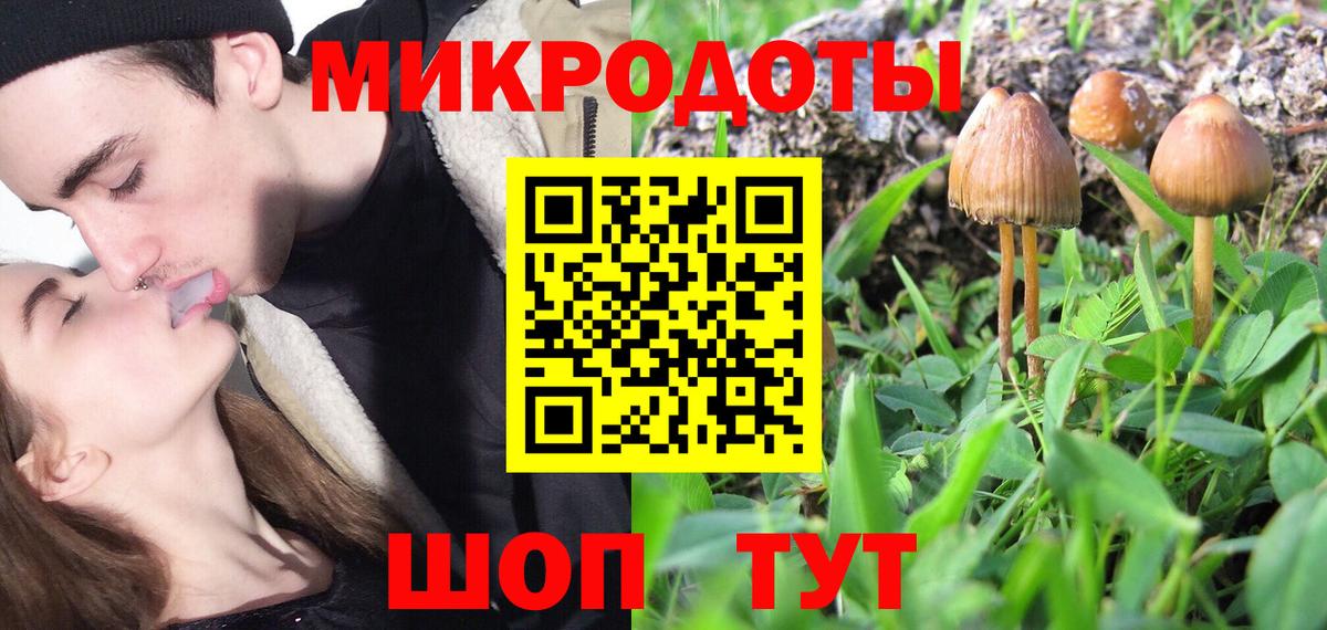 Псилоцибиновые грибы ЛСД  наркотики  Ковров  Вход с VPN 